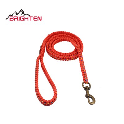 top quality multi-color nylon durable lightweight dog leash