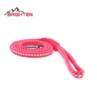 wholesale factory directly 7-strand paracord dog leash and lead